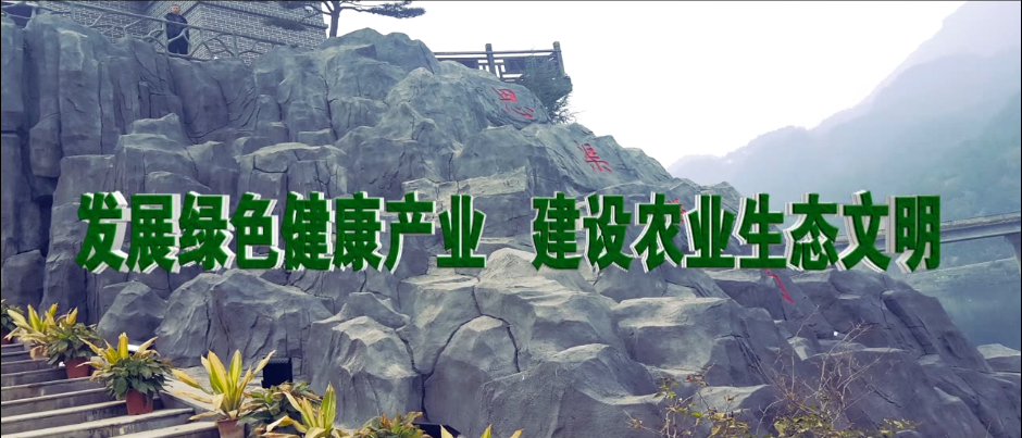 &#20048;&#40060;&#23448;&#26041;&#32593;&#39029;&#29256;&#45;&#108;&#101;&#121;&#117;&#40;&#20013;&#22269;&#41;