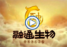 &#20048;&#40060;&#23448;&#26041;&#32593;&#39029;&#29256;&#45;&#108;&#101;&#121;&#117;&#40;&#20013;&#22269;&#41;