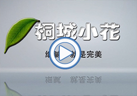 &#20048;&#40060;&#23448;&#26041;&#32593;&#39029;&#29256;&#45;&#108;&#101;&#121;&#117;&#40;&#20013;&#22269;&#41;